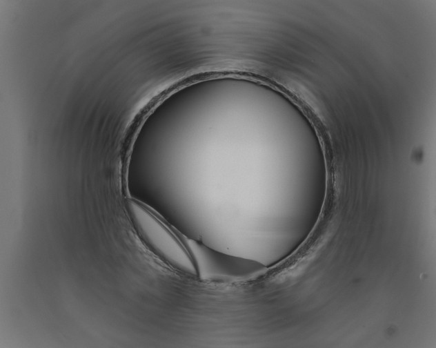 X0000090870781200708241919