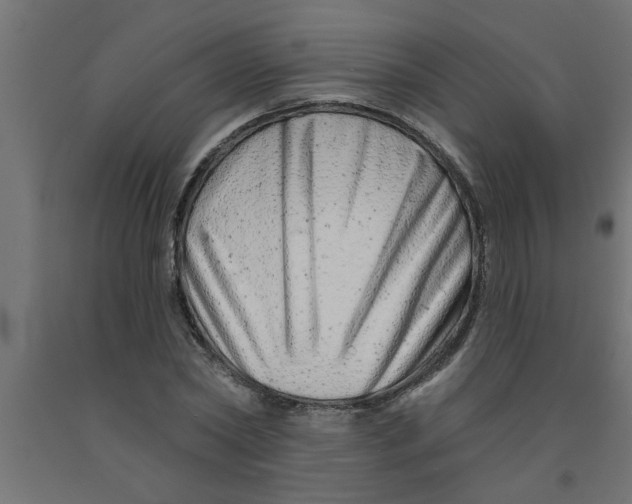 X0000090870782200708241919