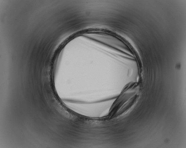 X0000090870783200708241919