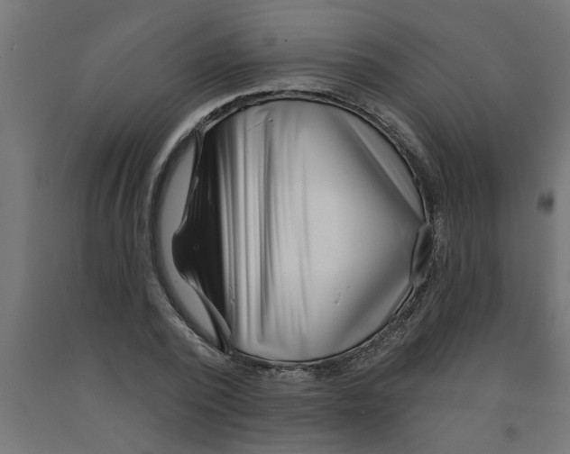 X0000090870784200708241919