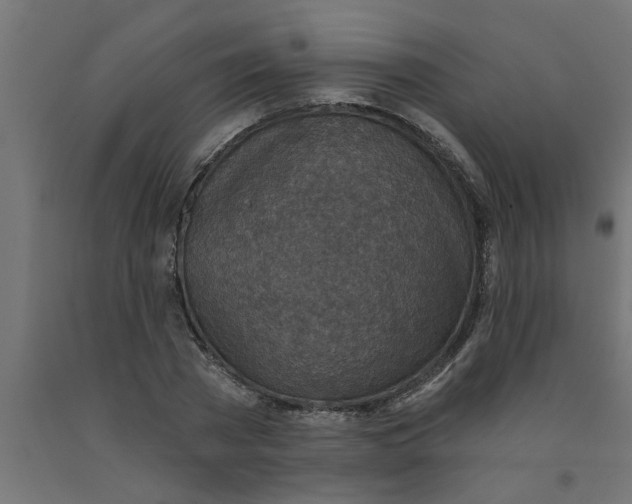 X0000090870785200708241919