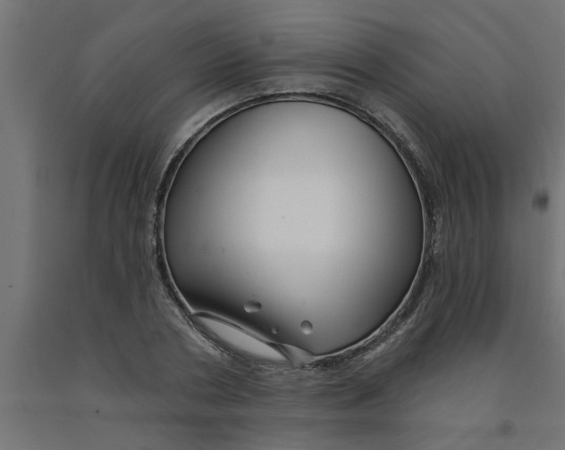 X0000090870786200708241919