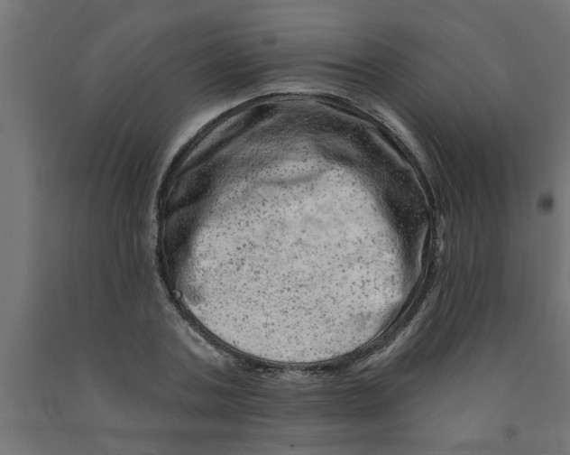 X0000090870787200708241919