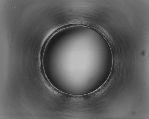 X0000090870788200708241919