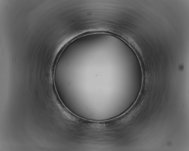 X0000090870789200708241919