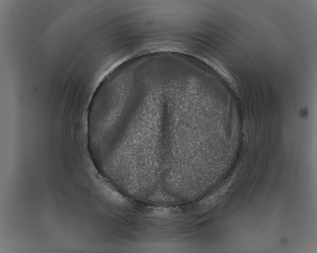 X0000090870790200708241919