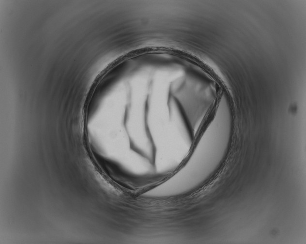 X0000090870791200708241919