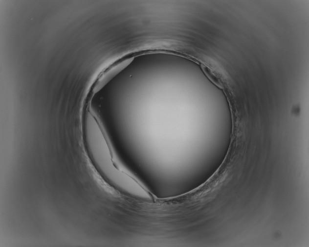 X0000090870792200708241919