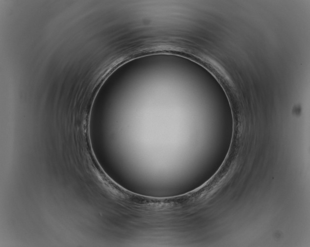 X0000090870793200708241919