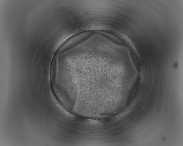 X0000090870794200708241919