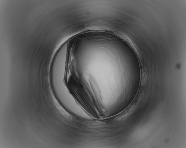 X0000090870795200708241919