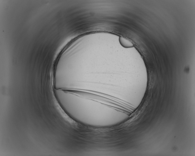 X0000090870796200708241919