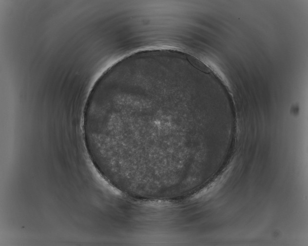 X0000090870797200708241919