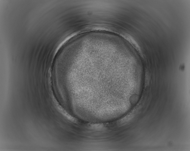 X0000090870798200708241919