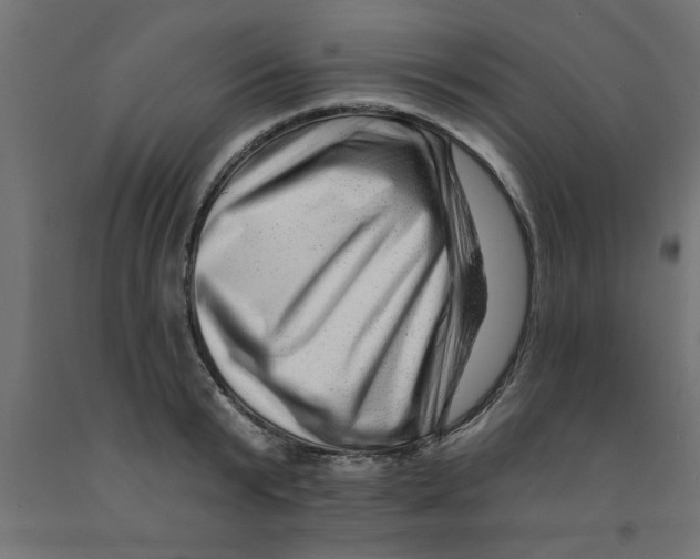 X0000090870799200708241919