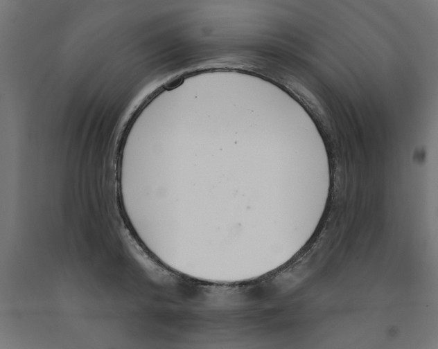 X0000090870800200708241919