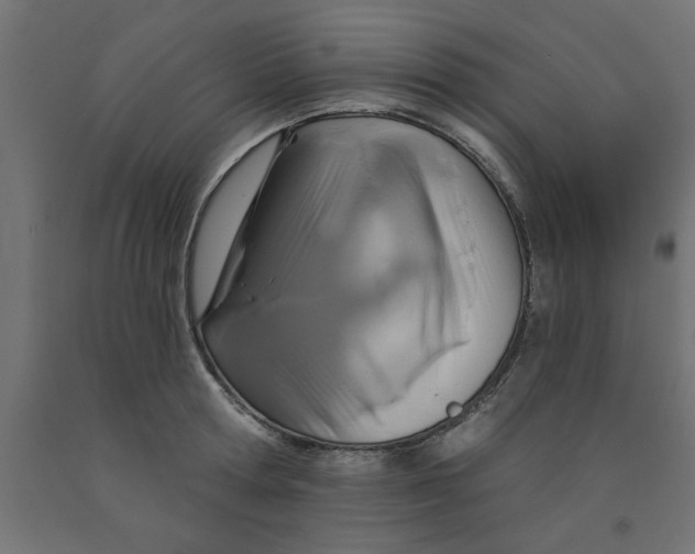 X0000090870802200708241919