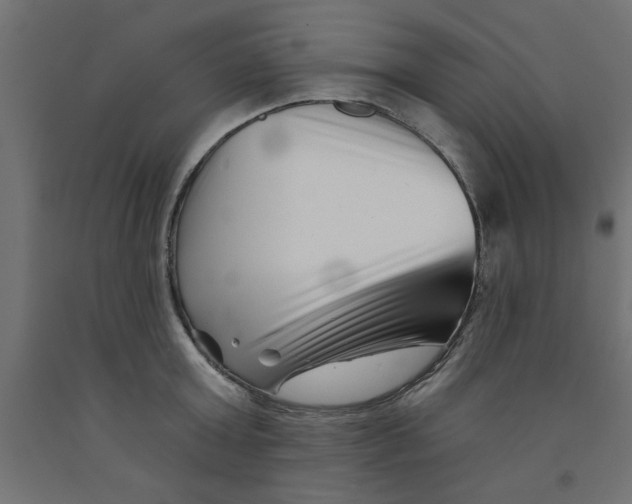 X0000090870803200708241919