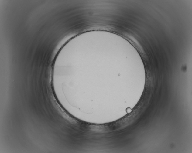 X0000090870804200708241919