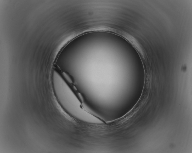 X0000090870805200708241919