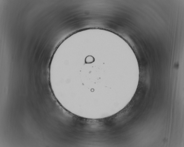 X0000090870807200708241919