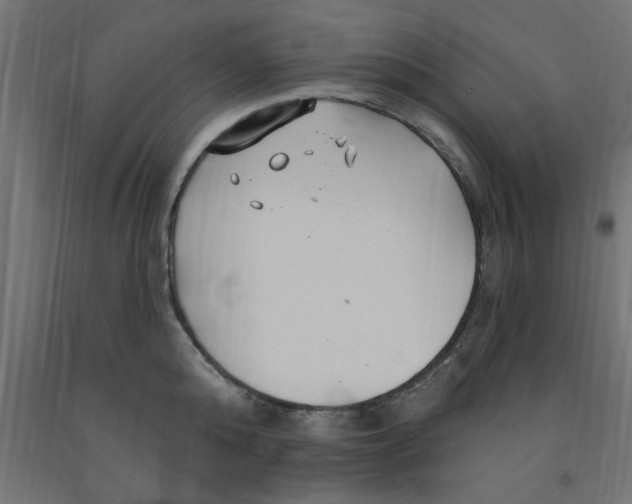 X0000090870808200708241919