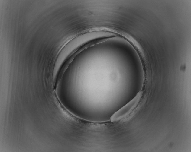 X0000090870809200708241919