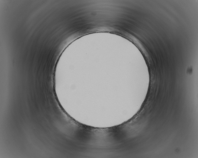 X0000090870810200708241919