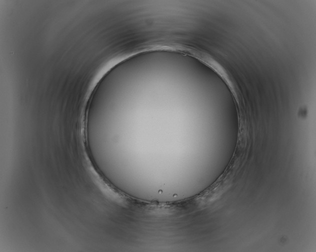 X0000090870811200708241919