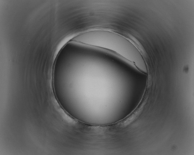 X0000090870812200708241918