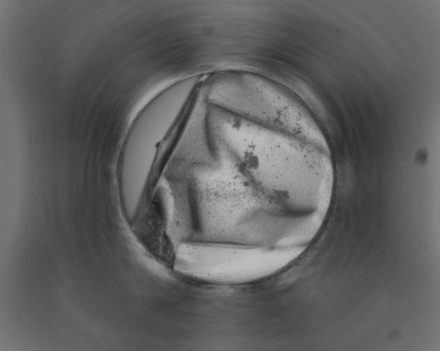 X0000090870814200708241918