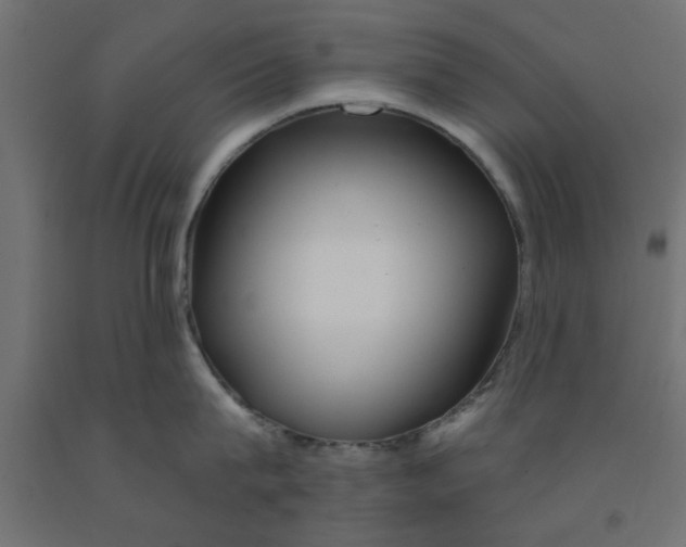 X0000090870815200708241918