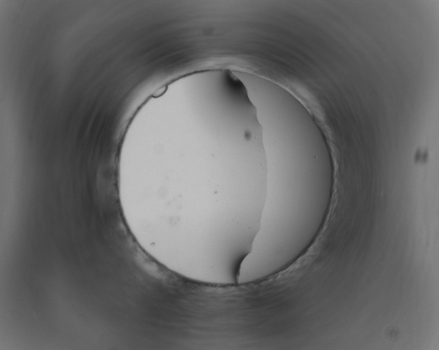 X0000090870816200708241918