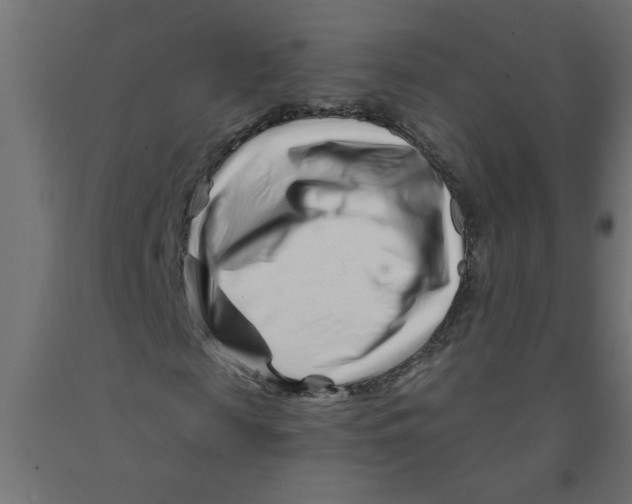 X0000090870817200708241918