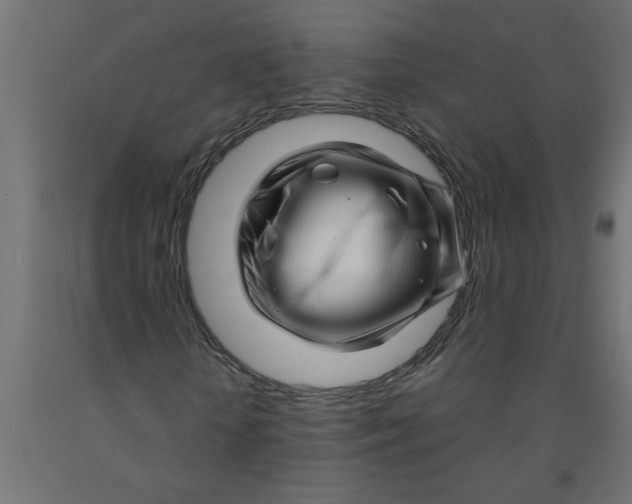 X0000090870818200708241918