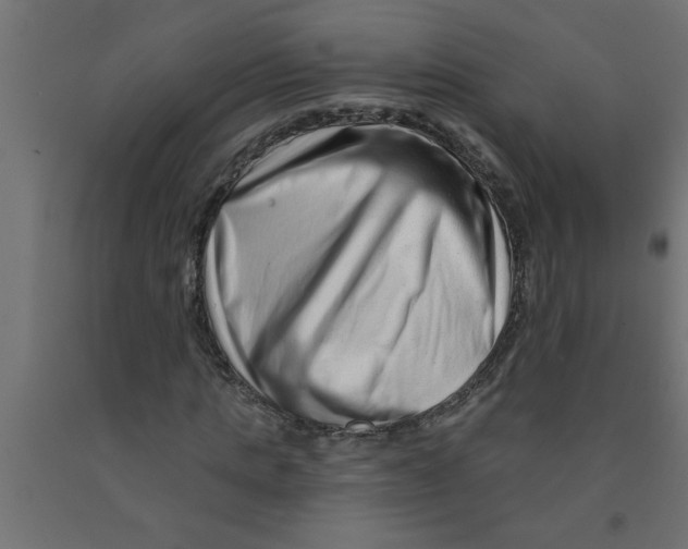 X0000090870821200708241918