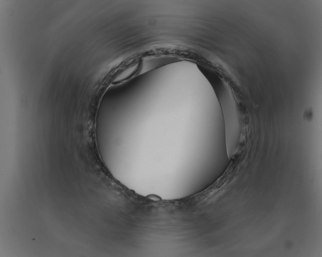 X0000090870822200708241918