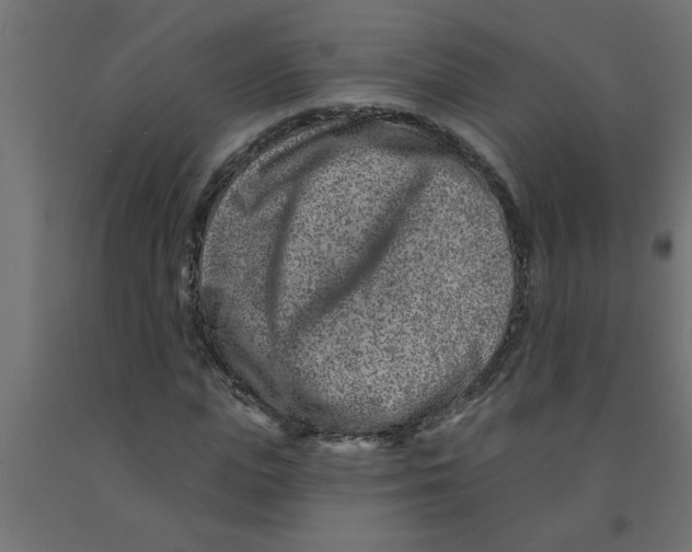 X0000090870823200708241918