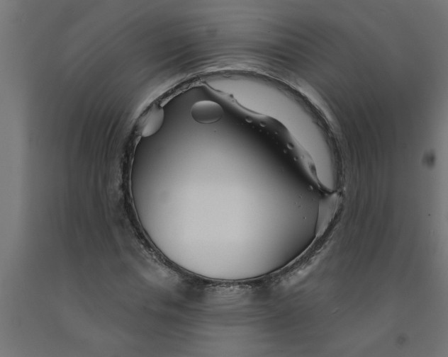 X0000090870826200708241918