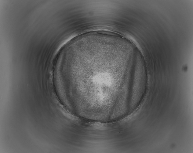 X0000090870827200708241918