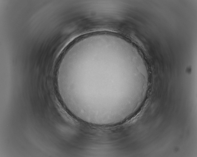 X0000090870828200708241918