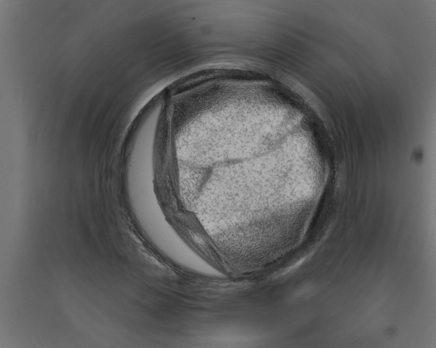 X0000090870829200708241918