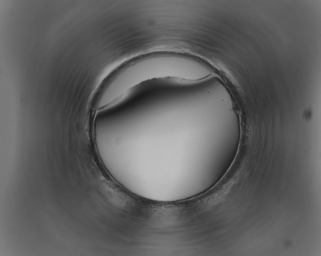 X0000090870830200708241918