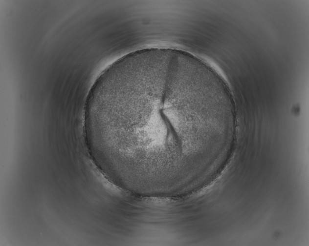 X0000090870831200708241918