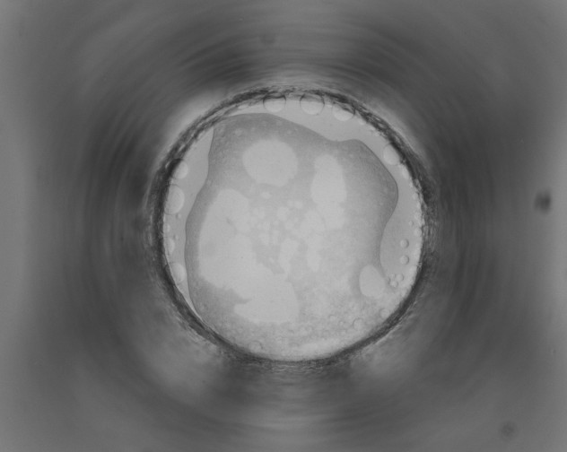 X0000090870832200708241918