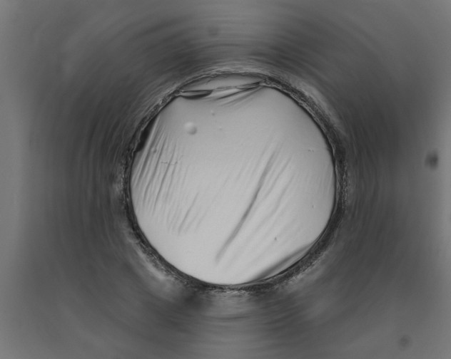 X0000090870833200708241918