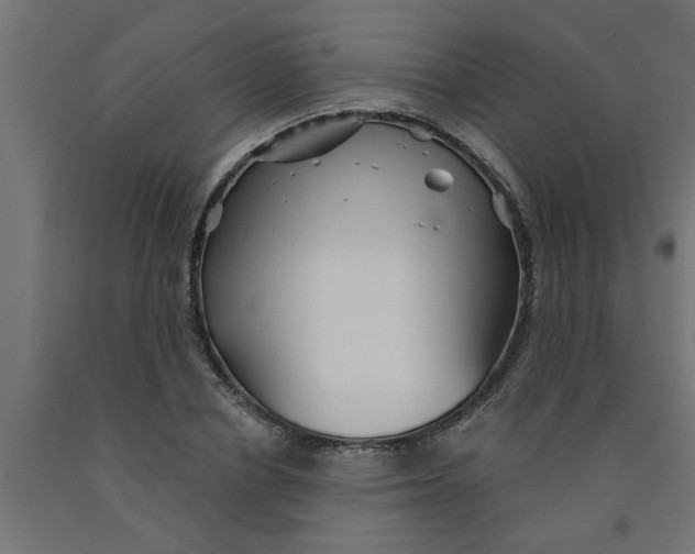 X0000090870834200708241918