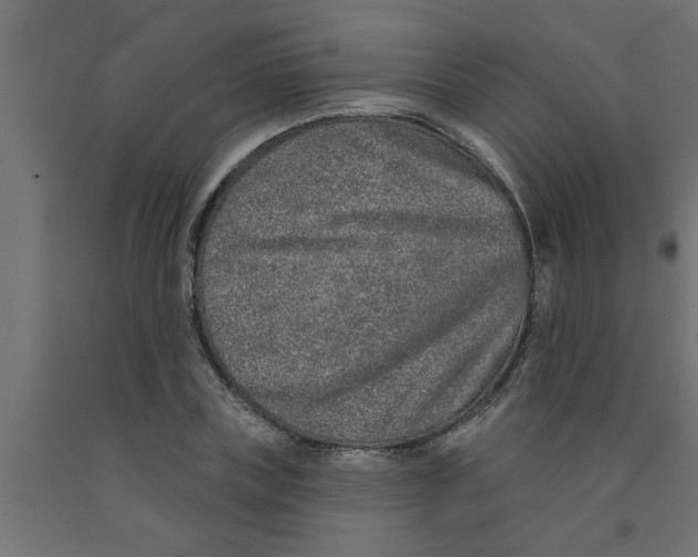 X0000090870835200708241918