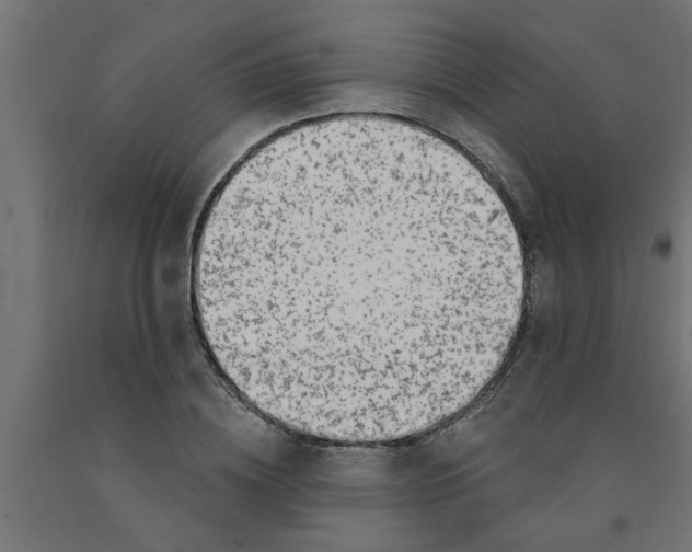 X0000090870836200708241918