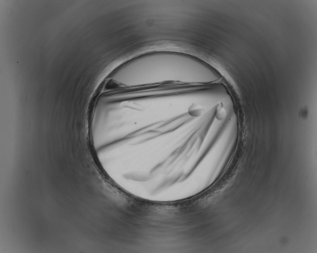 X0000090870837200708241918